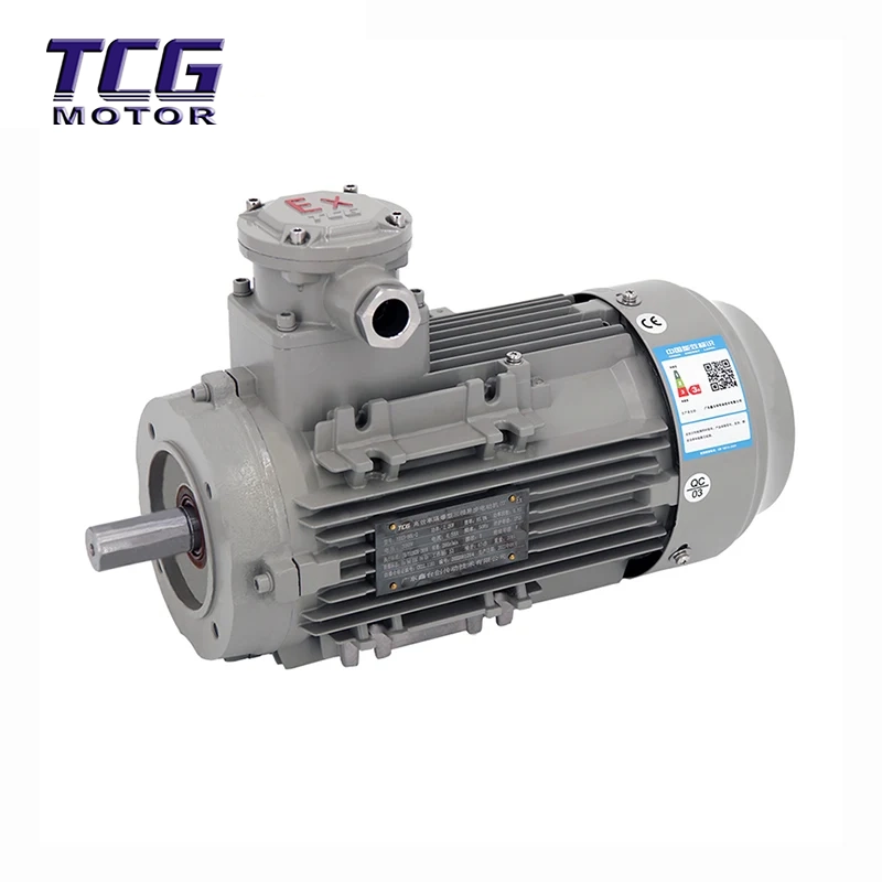 Ex d IIC T4 Eksplosionssikker motor B14 Lille flange