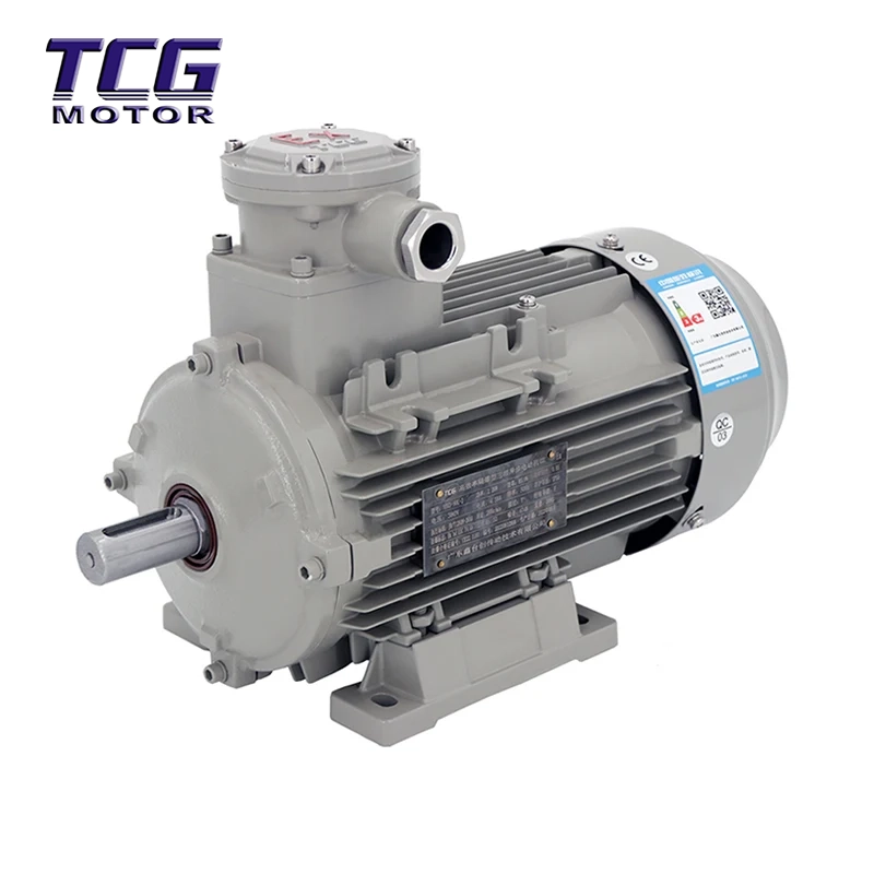 Ex d IIC T4 Eksplosionssikker motor B3 Montering
