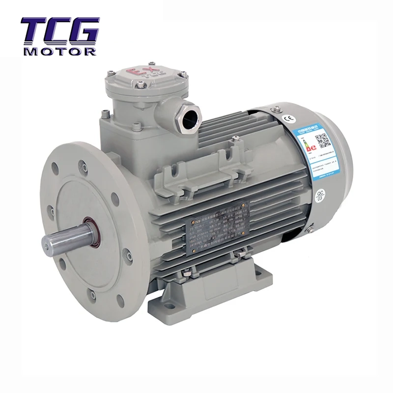 Ex d IIC T4 Eksplosionssikker motor B35 Fod