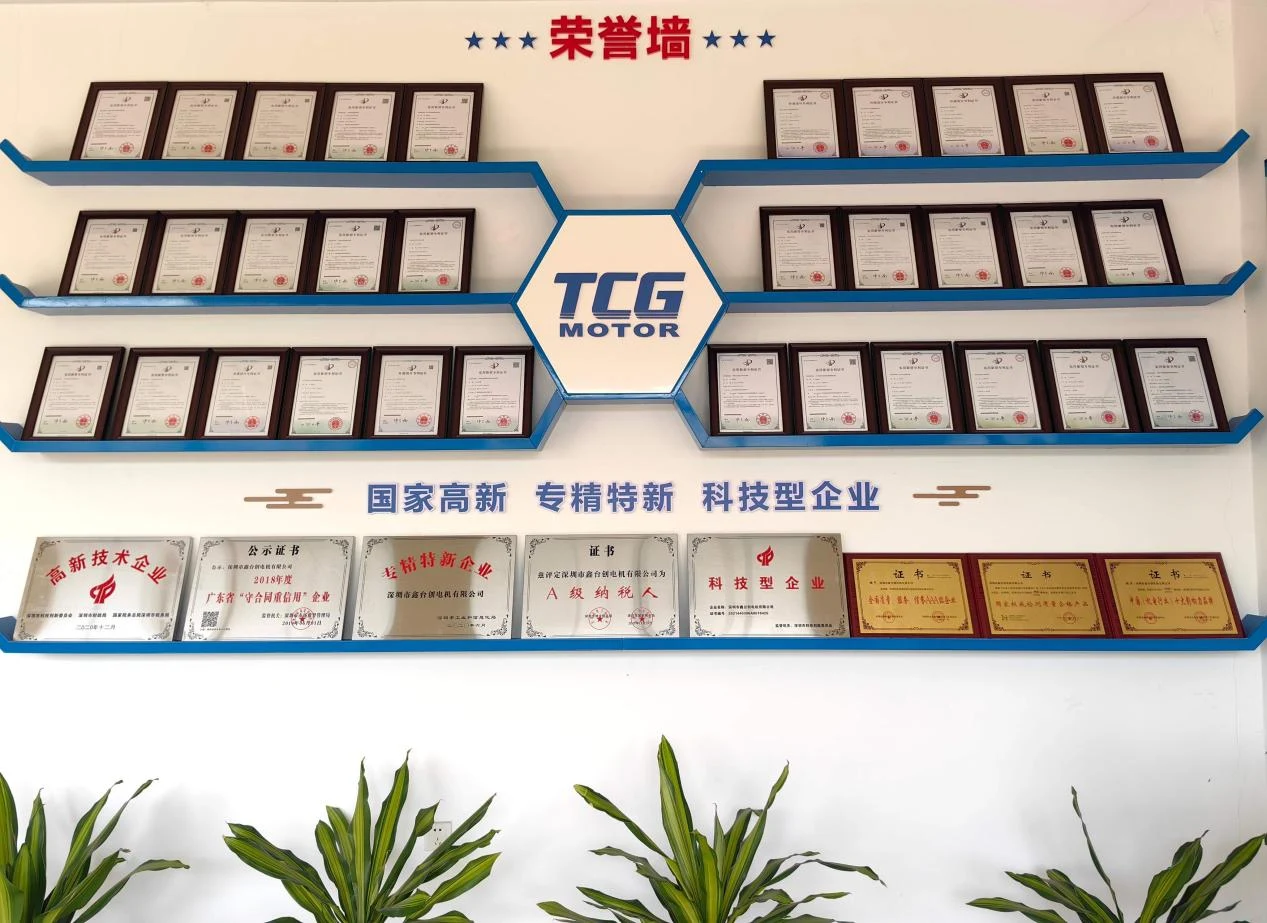 TCV Vertical Inverter Duty Brake Gear Motor