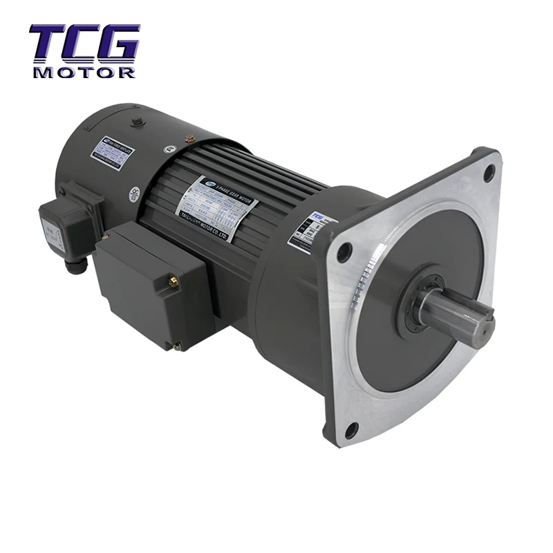 TCV Vertikal Inverter Duty Brake Gear Motor